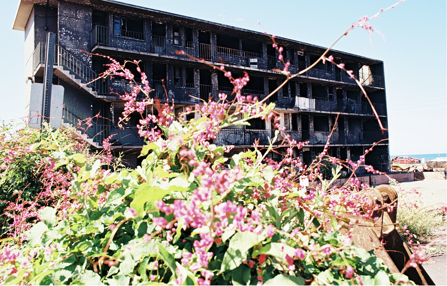 Maui fires in Lahaina aftermath featuring a burned down apartment building 